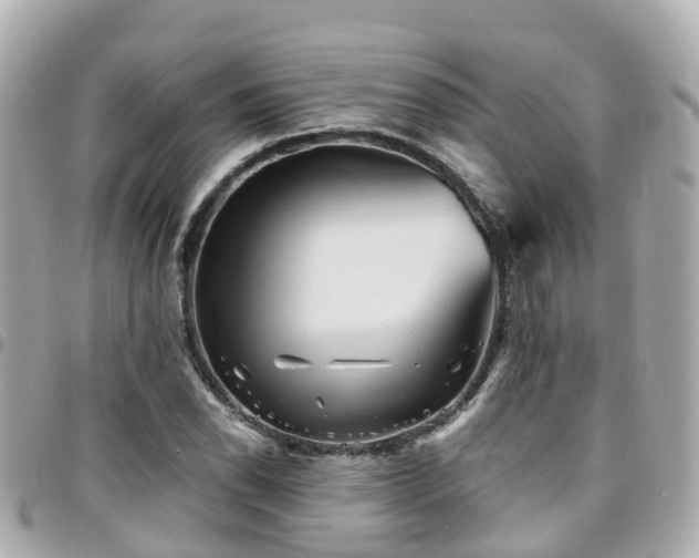 X0000094421118200711081131