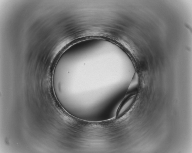 X0000094421119200711081131