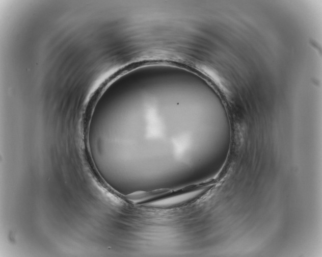 X0000094421120200711081131