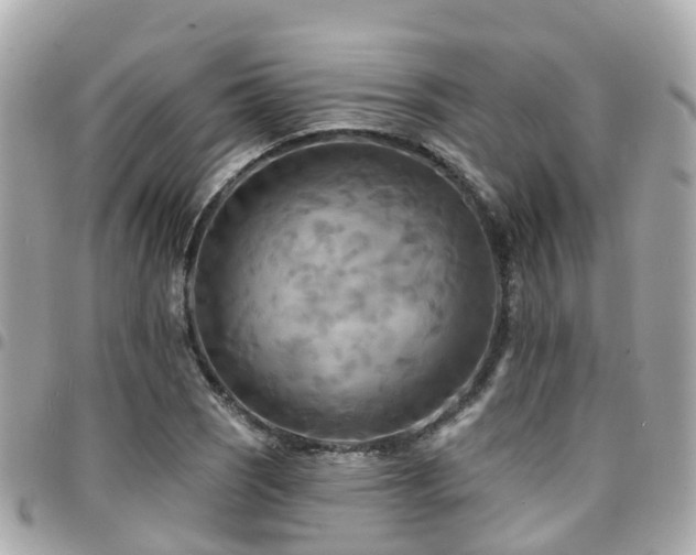 X0000094421121200711081131