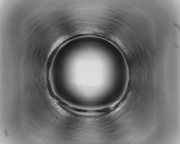 X0000094421122200711081131
