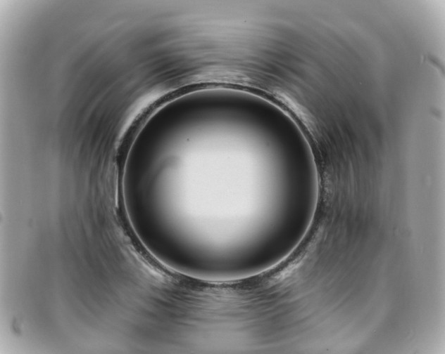 X0000094421123200711081131