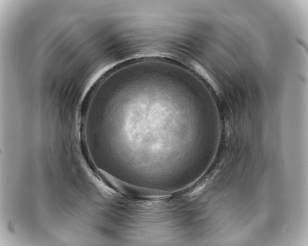 X0000094421124200711081131