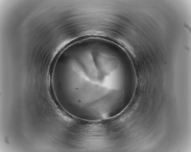 X0000094421125200711081131