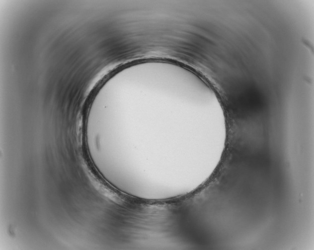 X0000094421126200711081131