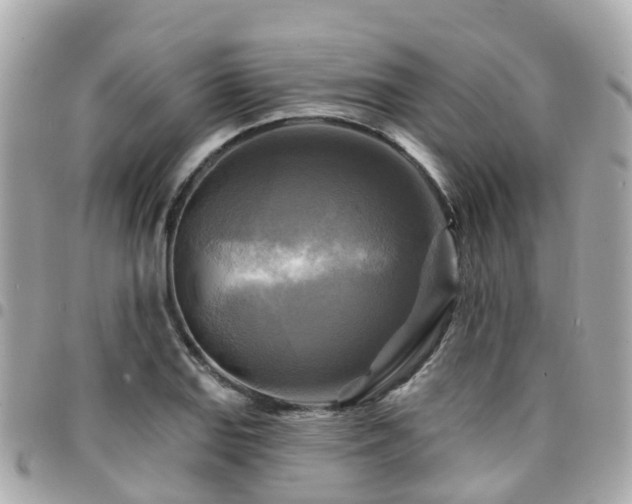 X0000094421127200711081131