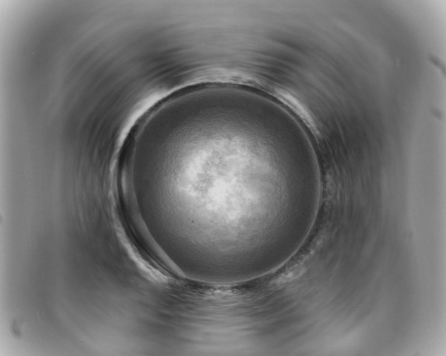 X0000094421128200711081131