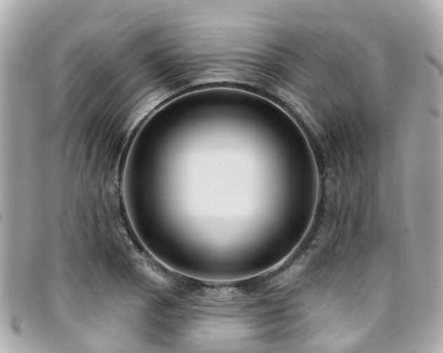 X0000094421129200711081131