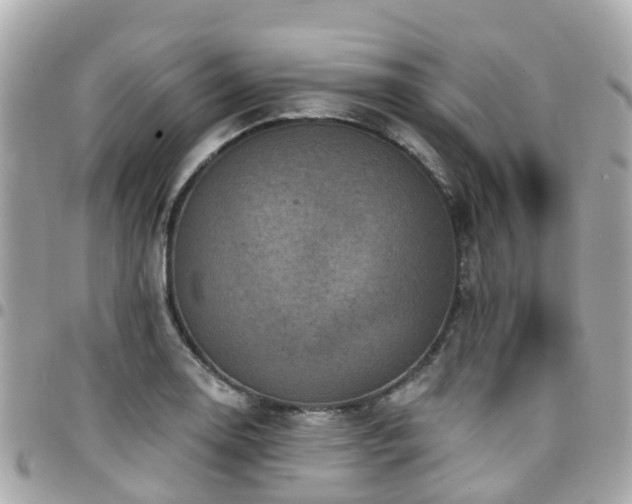 X0000094421130200711081131