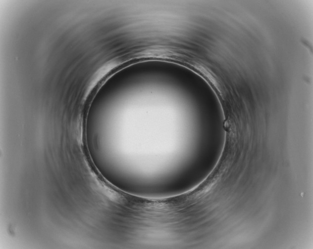 X0000094421131200711081131