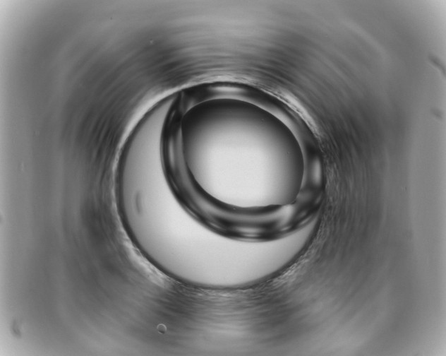 X0000094421132200711081131