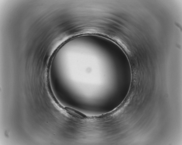 X0000094421134200711081131