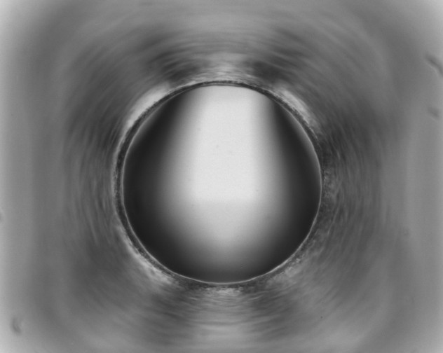 X0000094421135200711081131