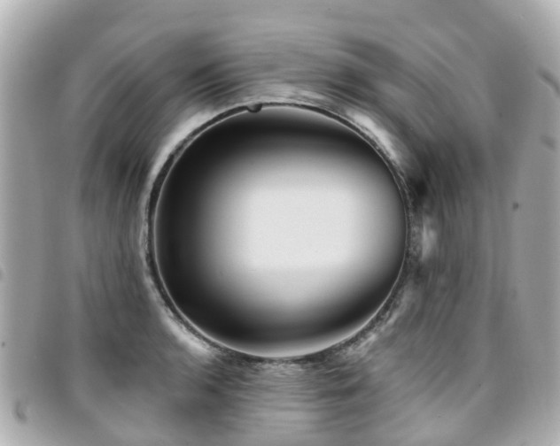X0000094421136200711081131