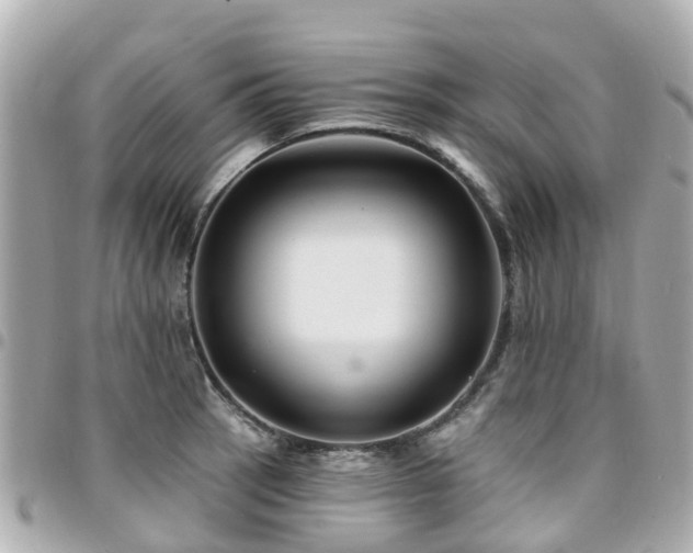 X0000094421137200711081132
