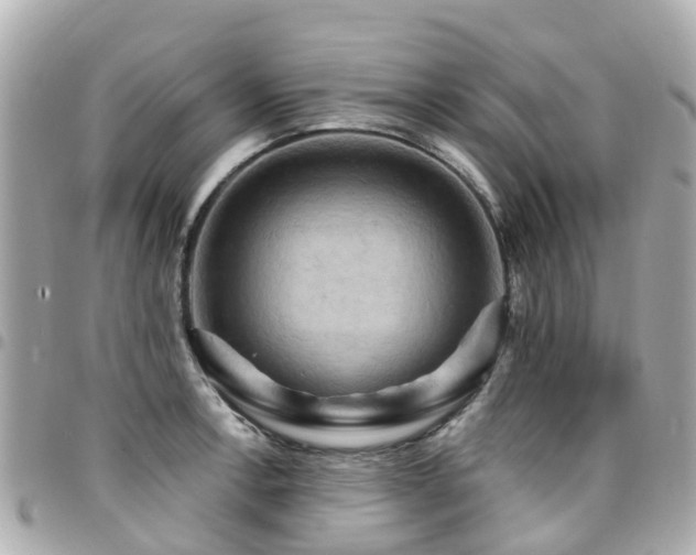 X0000094421138200711081132