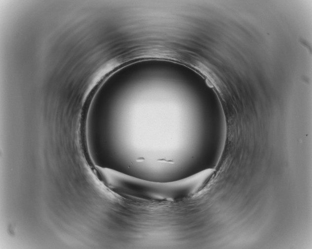 X0000094421139200711081132