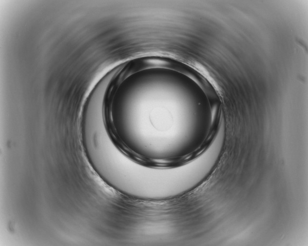 X0000094421140200711081132