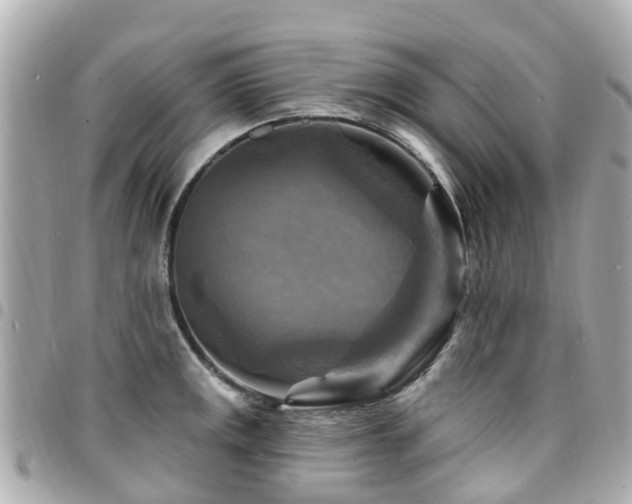 X0000094421141200711081132