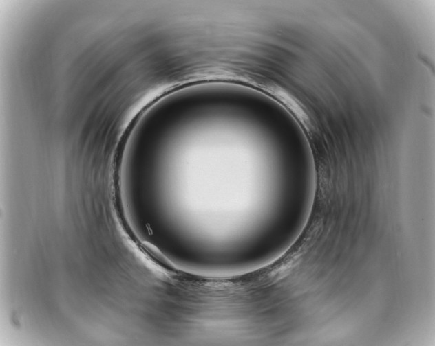 X0000094421142200711081132