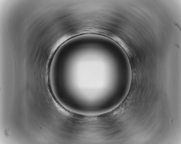 X0000094421143200711081132