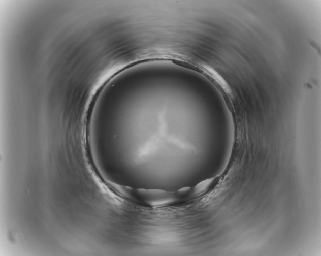 X0000094421144200711081132