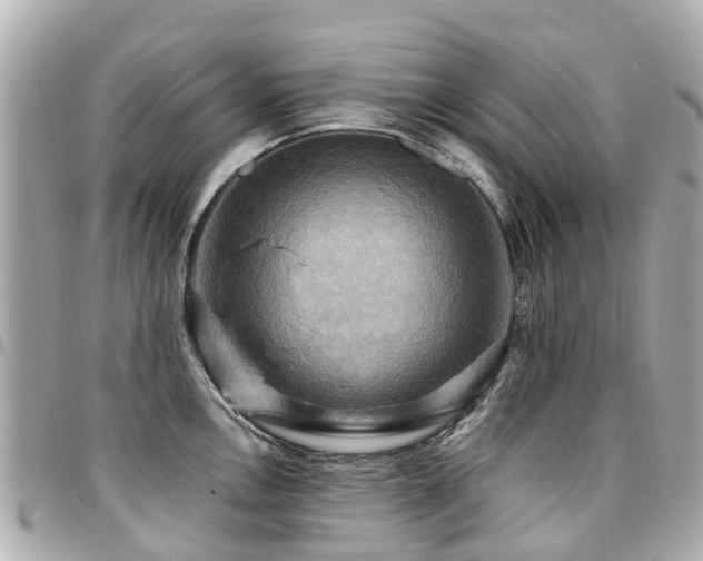 X0000094421146200711081132