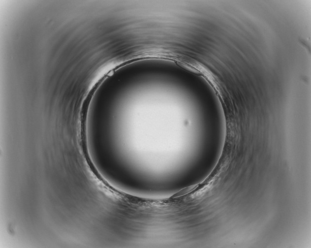 X0000094421147200711081132