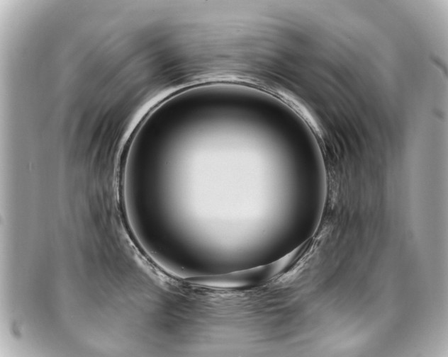 X0000094421148200711081132