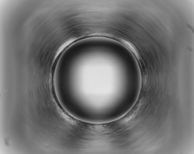 X0000094421149200711081132