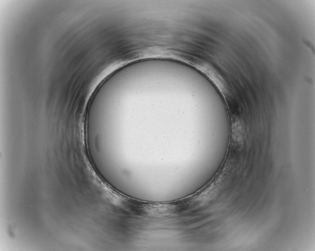 X0000094421150200711081132