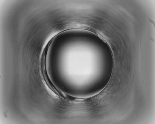 X0000094421152200711081132