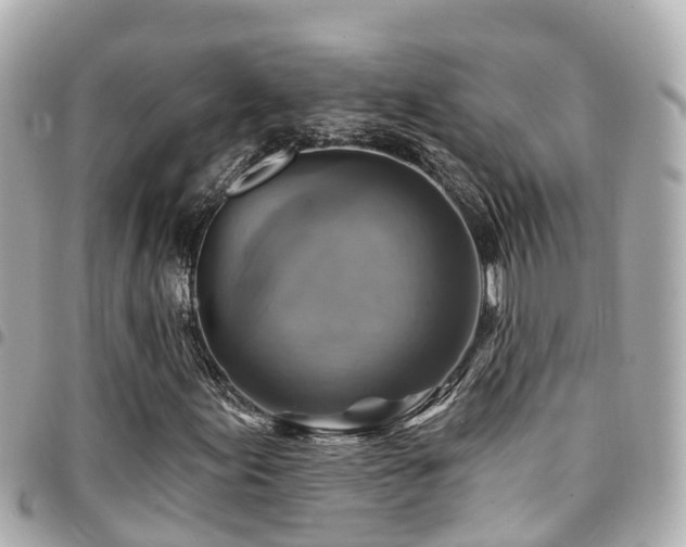 X0000094421155200711081131