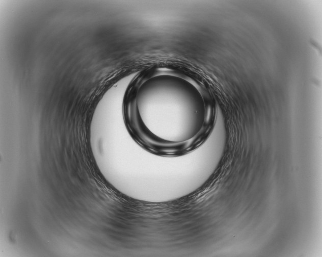 X0000094421156200711081131