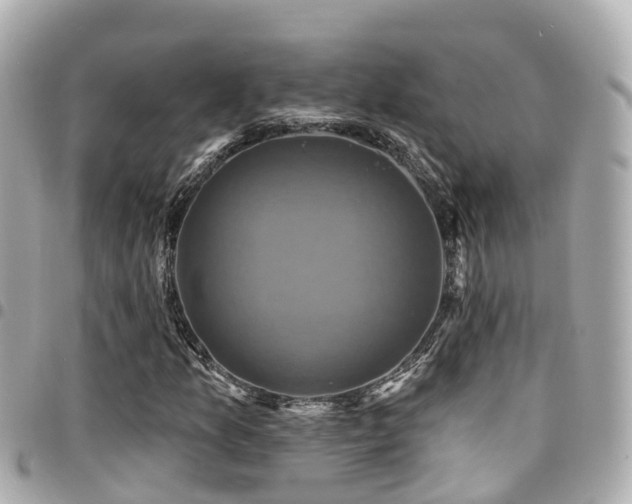 X0000094421157200711081131