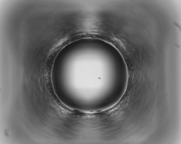 X0000094421159200711081131
