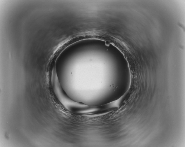 X0000094421160200711081131