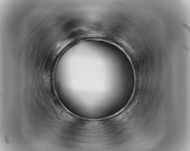 X0000094421162200711081131
