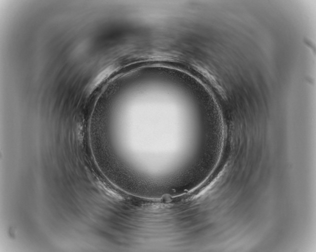 X0000094421163200711081131