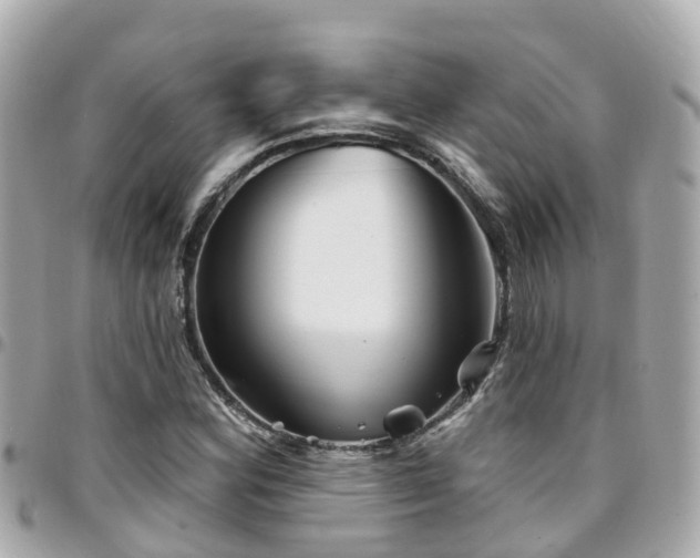 X0000094421164200711081131