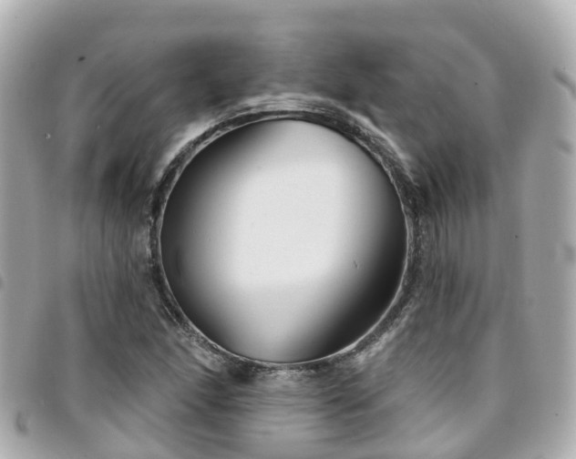 X0000094421166200711081131