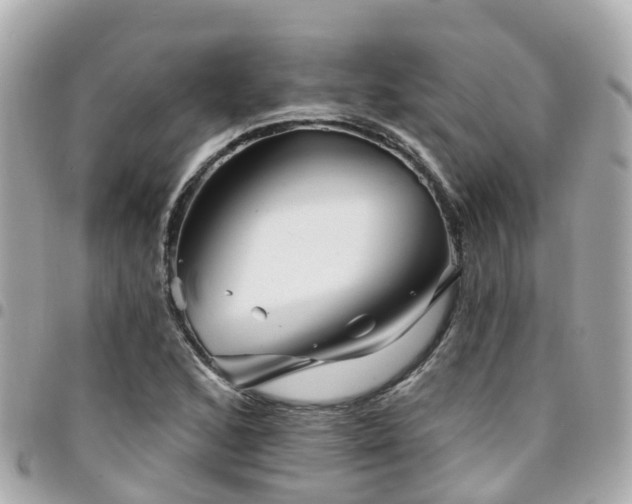 X0000094421168200711081131