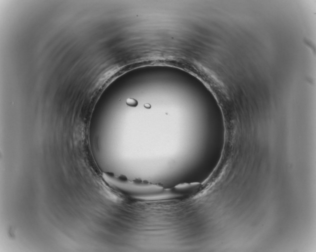 X0000094421169200711081131