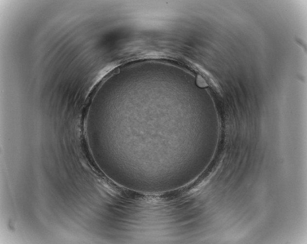 X0000094421170200711081131