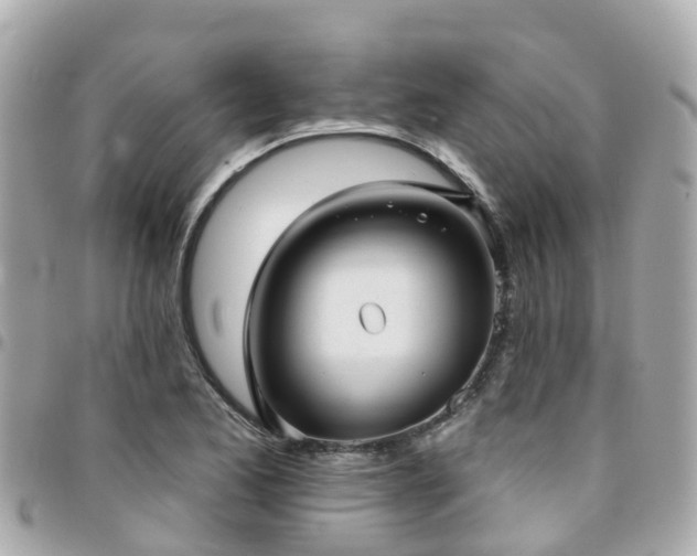 X0000094421173200711081131
