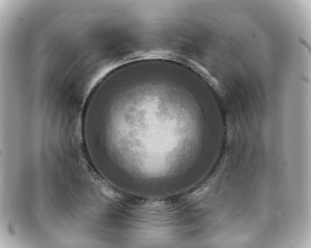 X0000094421174200711081131