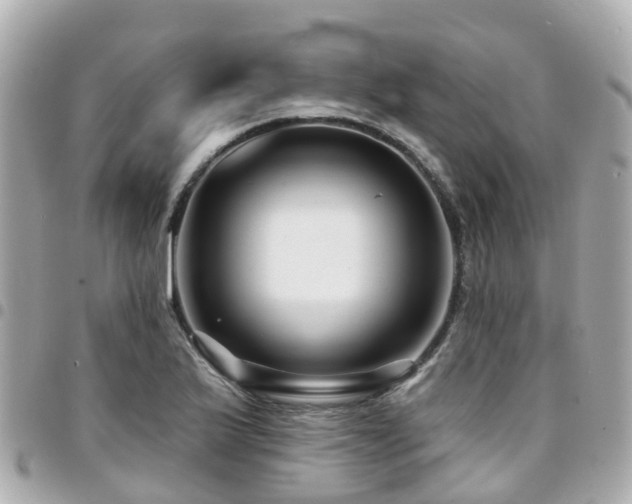 X0000094421175200711081131