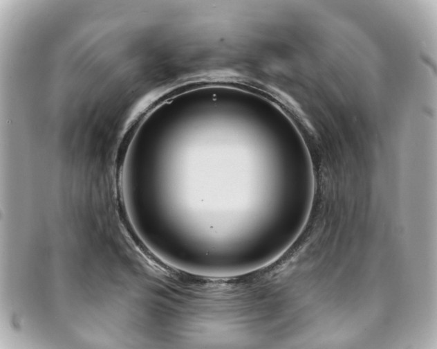 X0000094421176200711081131
