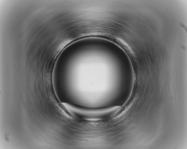 X0000094421177200711081131