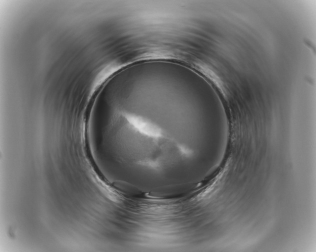 X0000094421179200711081131